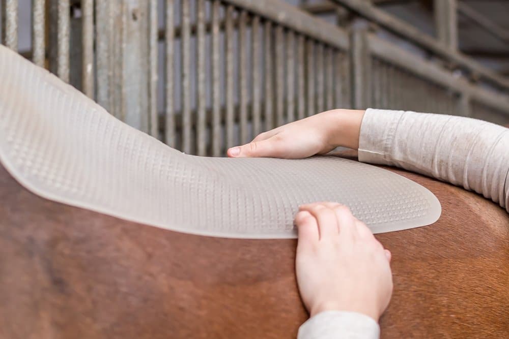 Gel saddle pad on horse's back