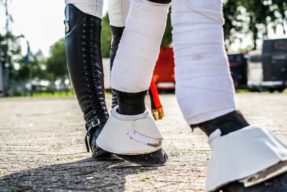 Hoof boots on jumping horse
